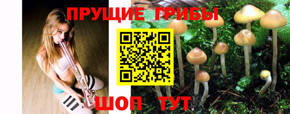 Псилоцибиновые грибы MAGIC MUSHROOMS  Вход с VPN  Советский 